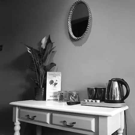 The Game Cock イン 3*