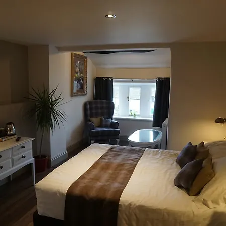 The Game Cock イン