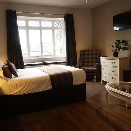 イン The Game Cock 3*