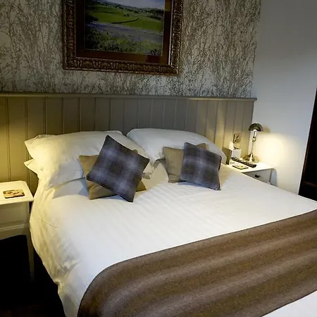 イン The Game Cock 3*