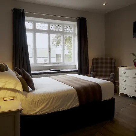 The Game Cock イン 3*