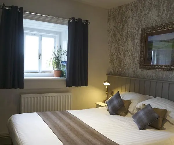 The Game Cock イン 3*